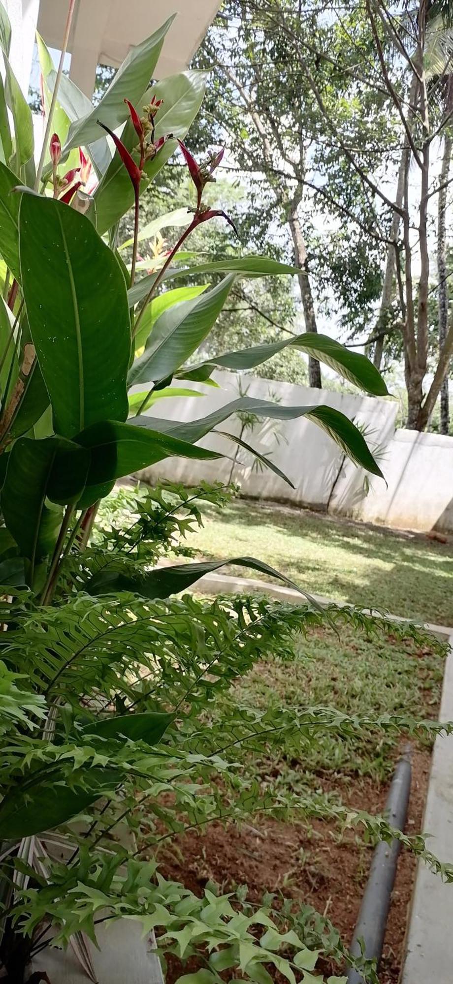 Nature Heaven Villa